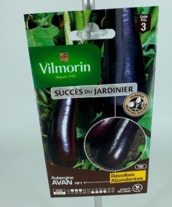 Aubergine Avan – Graine Vilmorin