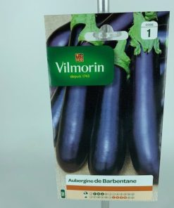 Aubergine de Barbentan – Graine Vilmorin
