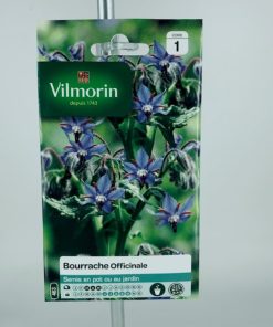 Bourrache Officinale – Graines Vilmorin