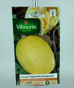 Courge Vegetable Spaghtti – Graine Vilmorin