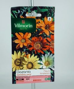 Gazania fleurit – Graines Vilmorin