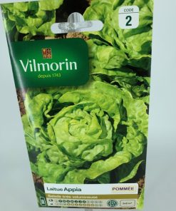 Laitue Appia – Graine Vilmorin
