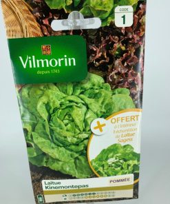 Laitue Kinemontepas – Graine Vilmorin