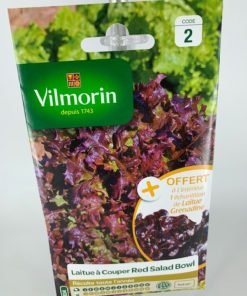 Laitue Red Salad Bowi – Graine Vilmorin