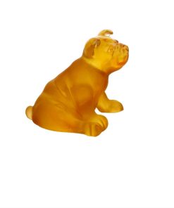 Mini puppy amber daum