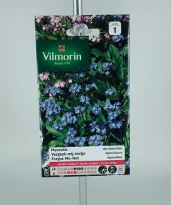 Myosotis des alpes bleues – Graines Vilmorin