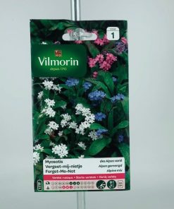 Myosotis des alpes varie – Graines Vilmorin