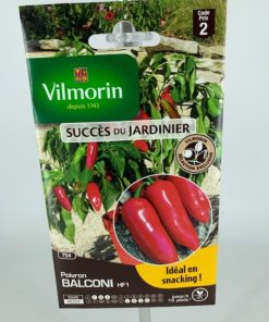 Poivron Balconi – Graine Vilmorin