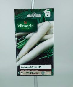 Radis April Crosse HF1 – Graines Vilmorin