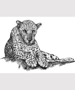 Affiche Léopard – Dessin en Noir et Blanc